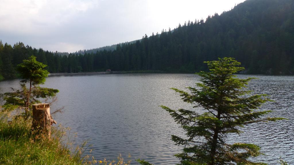 Вилла Les Bouquetins Stosswihr Номер фото
